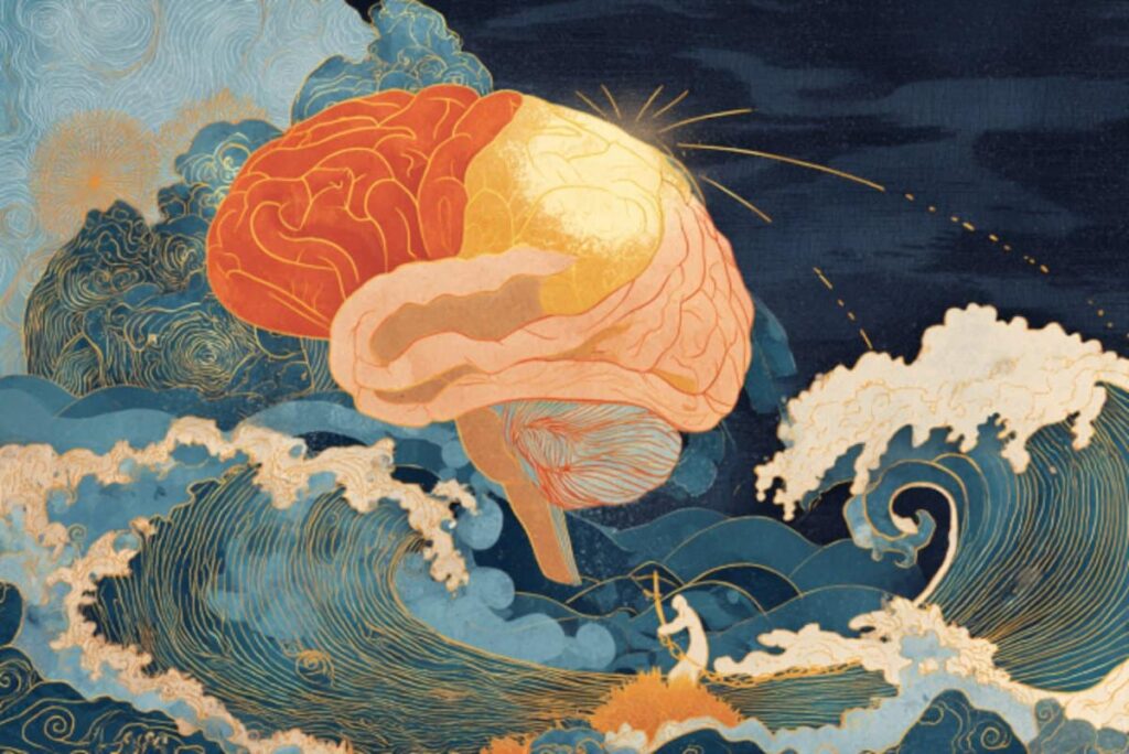 Targeting the Cerebellum Could Ease Alcohol Withdrawal Symptoms