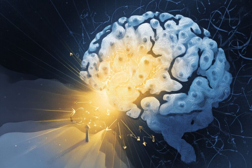 How the Brain Uses Objects to Find Direction How the Brain Uses Objects to Find Direction