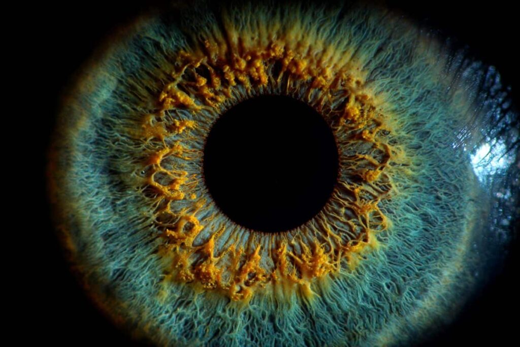 Night-Vision Disorders Share a Surprising Cellular Trigger